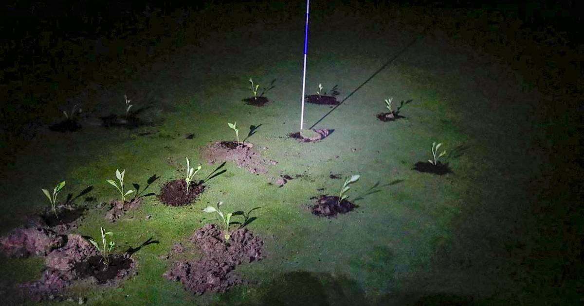 Actions against enormous water consumption golf courses Spain, while