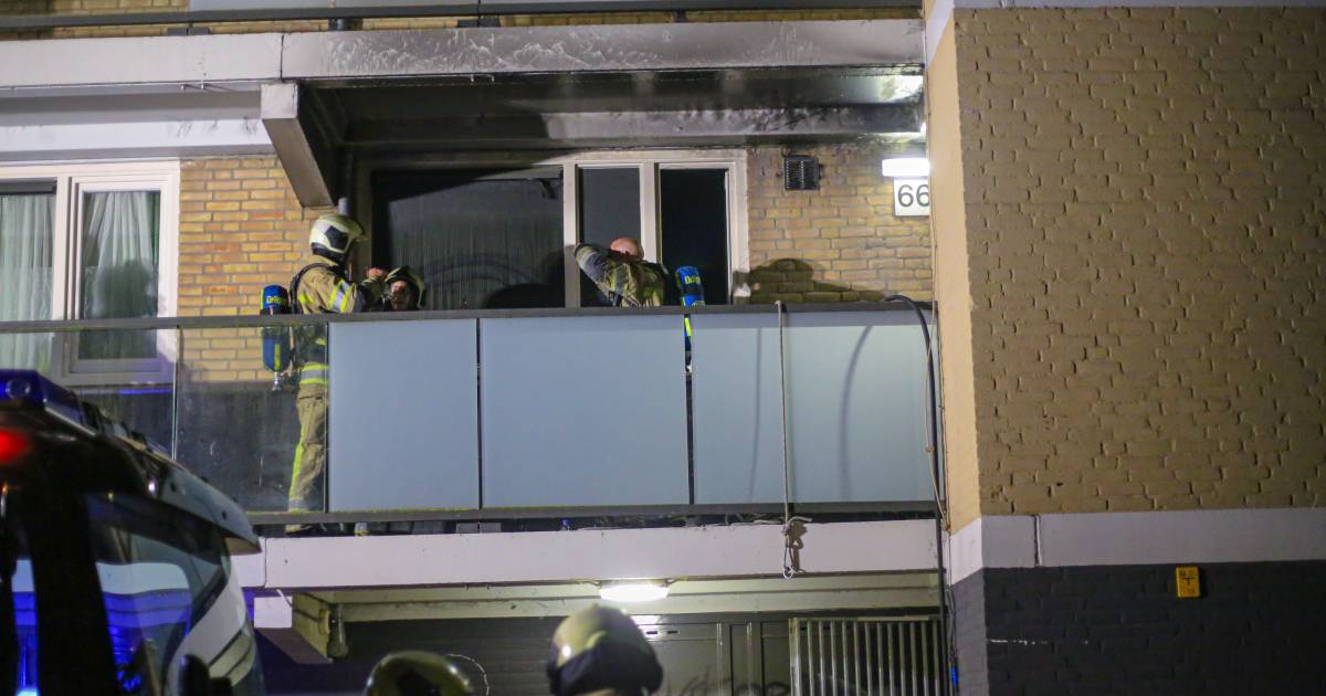 Forse schade na brand in Amersfoortse flatwoning, brandweer redt kat .