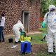 Ebola terug in Congo, paniek is groot