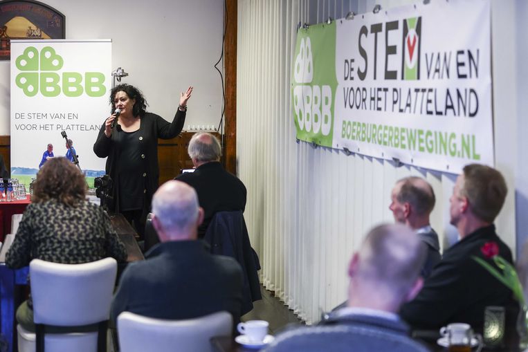 BBB si colloca in alto nei sondaggi di opinione.  Ma puoi collaborare con la festa?