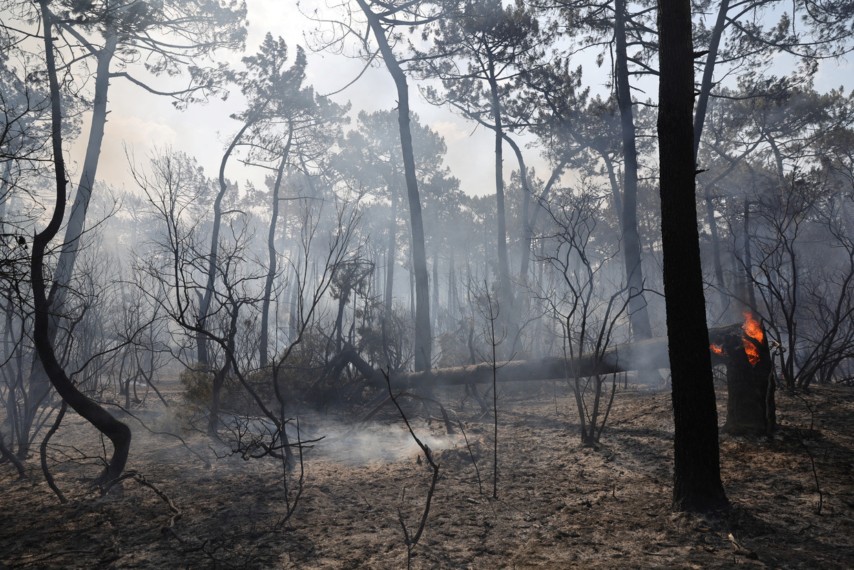 De eeuwenoude bossen rond La Teste de Buch zijn ten prooi gevallen aan de vlammen Beeld REUTERS