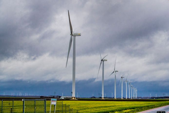 Windmolens in het landschap.