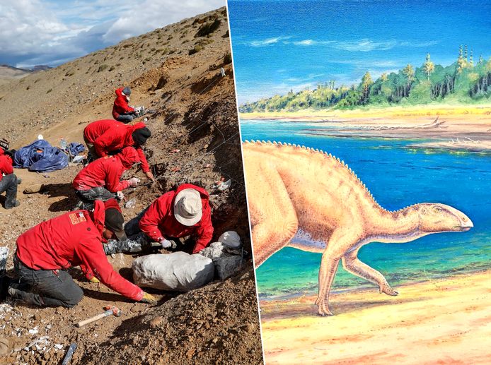Links: paleontologen op de vindplaats van de overblijfselen van de dinosaurus. Rechts: een schets van het vermeende uiterlijk van de dino.