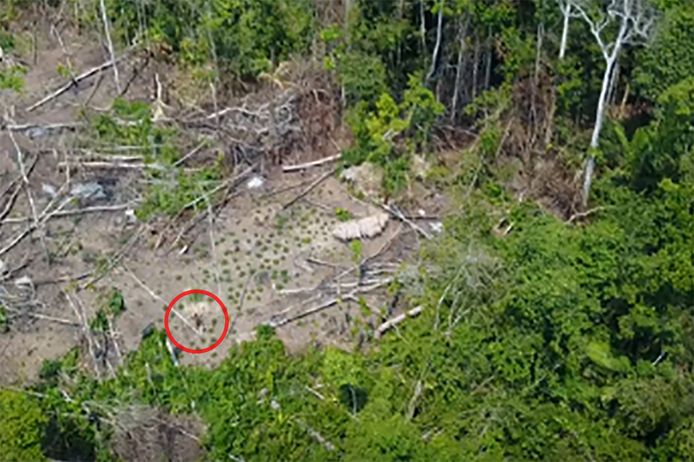De drone filmde twee leden van de indianenstam vanop aanzienlijke hoogte. Op de bewegende beelden hieronder zie je in het midden een man met pijl en boog lopen en bovenaan nog iemand.