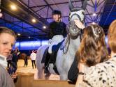 Britt Dekker steelt de show tijdens fokkerijfeest in de Brabanthallen: ‘Wat Britt doet, is geen hobby maar sport’