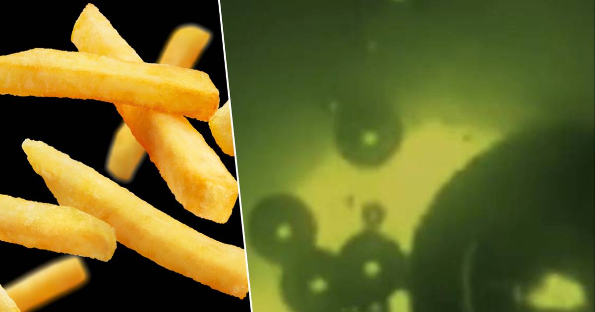 look.  What would happen if you fried potato chips in space?  |  Sciences