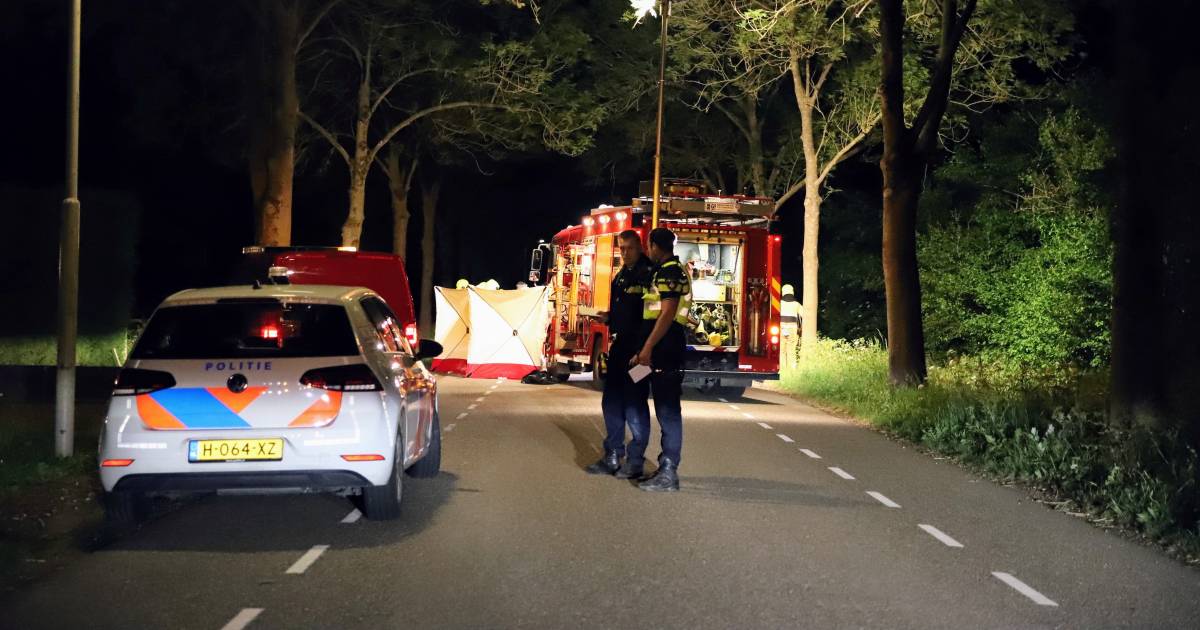 Automobilist uit West Maas en Waal overlijdt door frontale botsing met boom in Alphen.