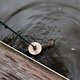 Magneetvisser vindt granaat in water bij Oude Doelenstraat