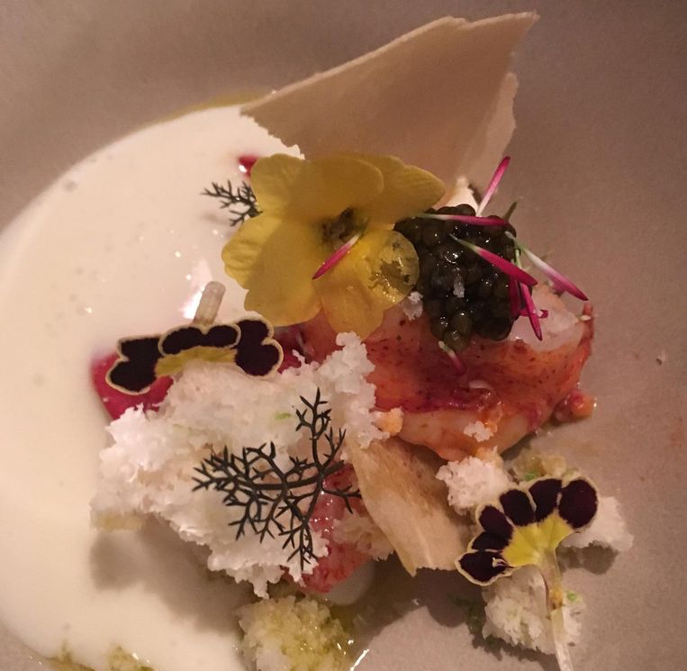 Kreeft met bloemkool en kaviaar. Beeld Mac van Dinther