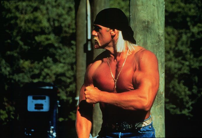 Hulk Hogan in 1994.