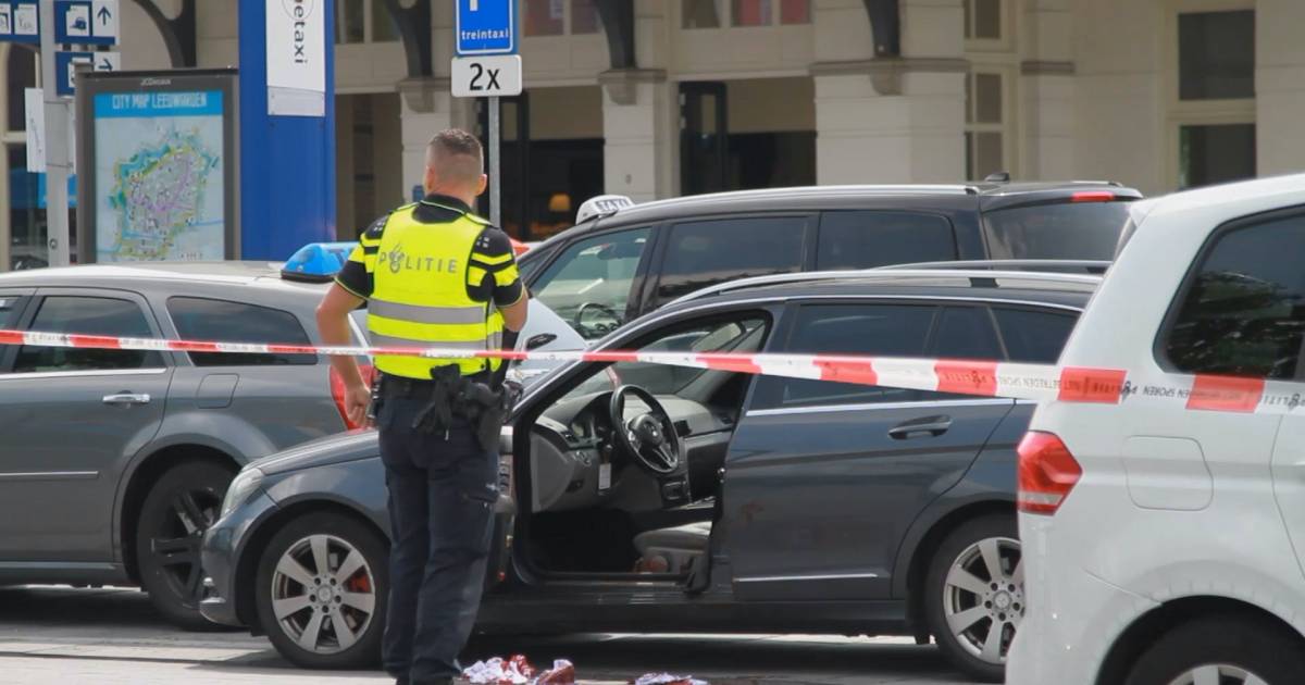 Iraniër krijgt 12 jaar cel voor steekpartij in Leeuwarden .