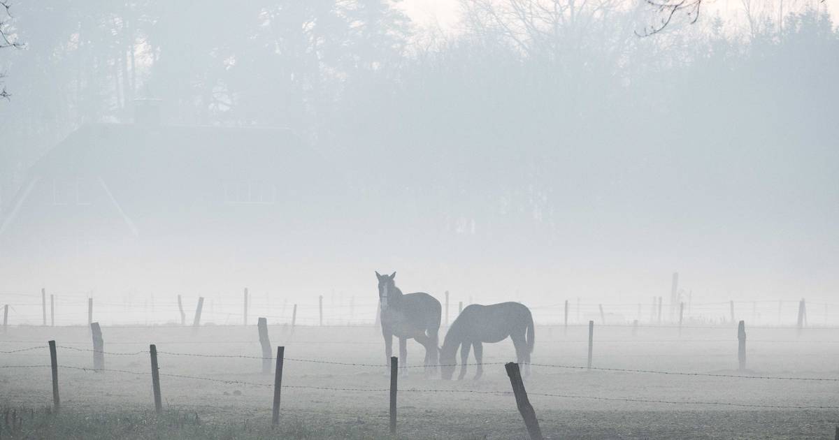 Zacht Weer Na Mistige Ochtend Dinsdag Lenteweer Met 17 Graden Binnenland Destentor Nl