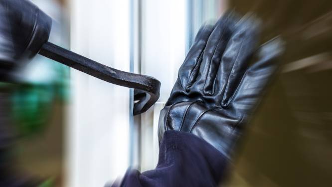 Vier jongens uit De Koppel pleegden samen vele inbraken, maar vormden zij ook een criminele organisatie?