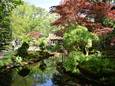 Wil je niet missen: Openstelling Japanse tuin