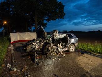 Hybride wagen bemoeilijkt bevrijding chauffeur na klap tegen boom