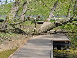 Park in aanleg anderhalve maand na storm nog niet opgeruimd