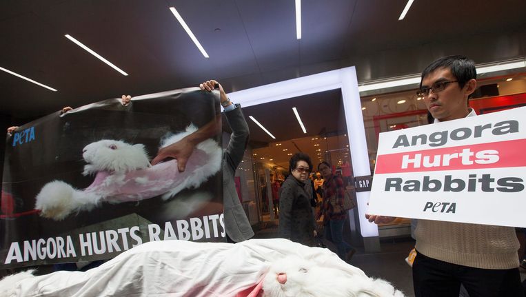 Protest in Hong Kong tegen het levend villen in China van angorakonijnen. Beeld EPA