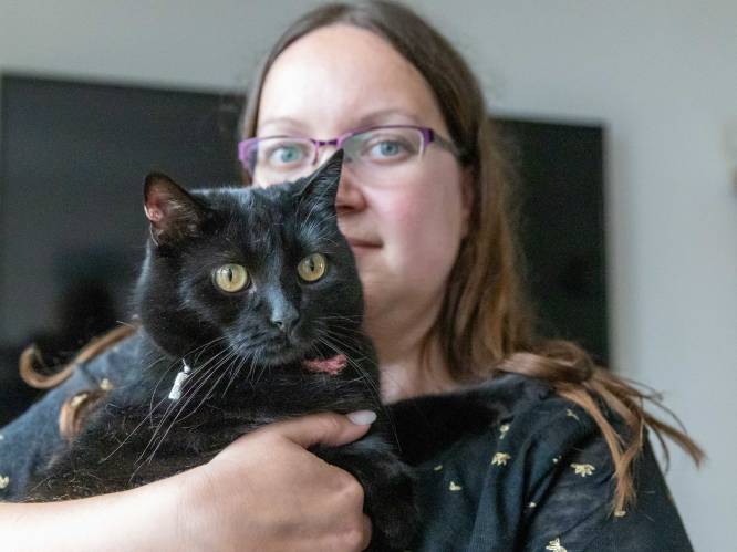 Deborah's vermiste kat werd gevonden, althans dat dácht ze: nu zit ze met twee identieke katten
