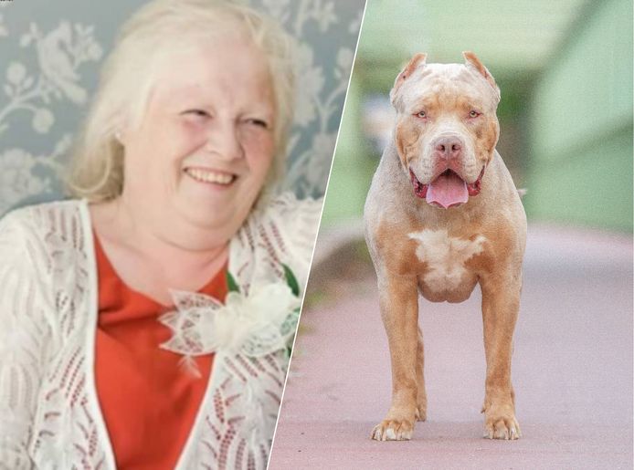 Instructies van haar schoonzoon om de vechtende puppy’s met een bezemsteel in het gareel te brengen, kostten Esther Martin het leven.