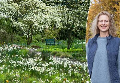 “Plant nu narcissen voor bloei vanaf februari”: tuinexperte tipt de mooiste soorten