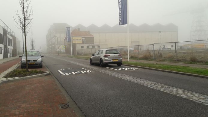 Verkeersremmers moeten de snelheid van automobilisten verminderen op De Willem Ruysstraat in Vlissingen.