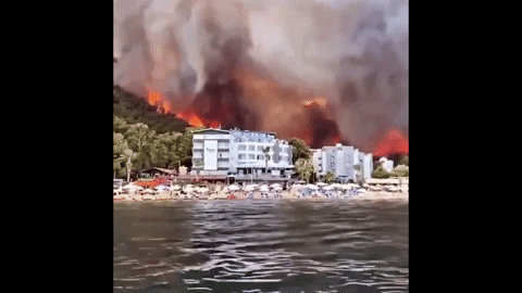 Violents incendies en Turquie.