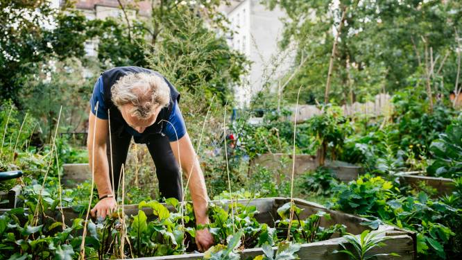 Van recyclen tot urban farming: dit zijn de trends in 2023