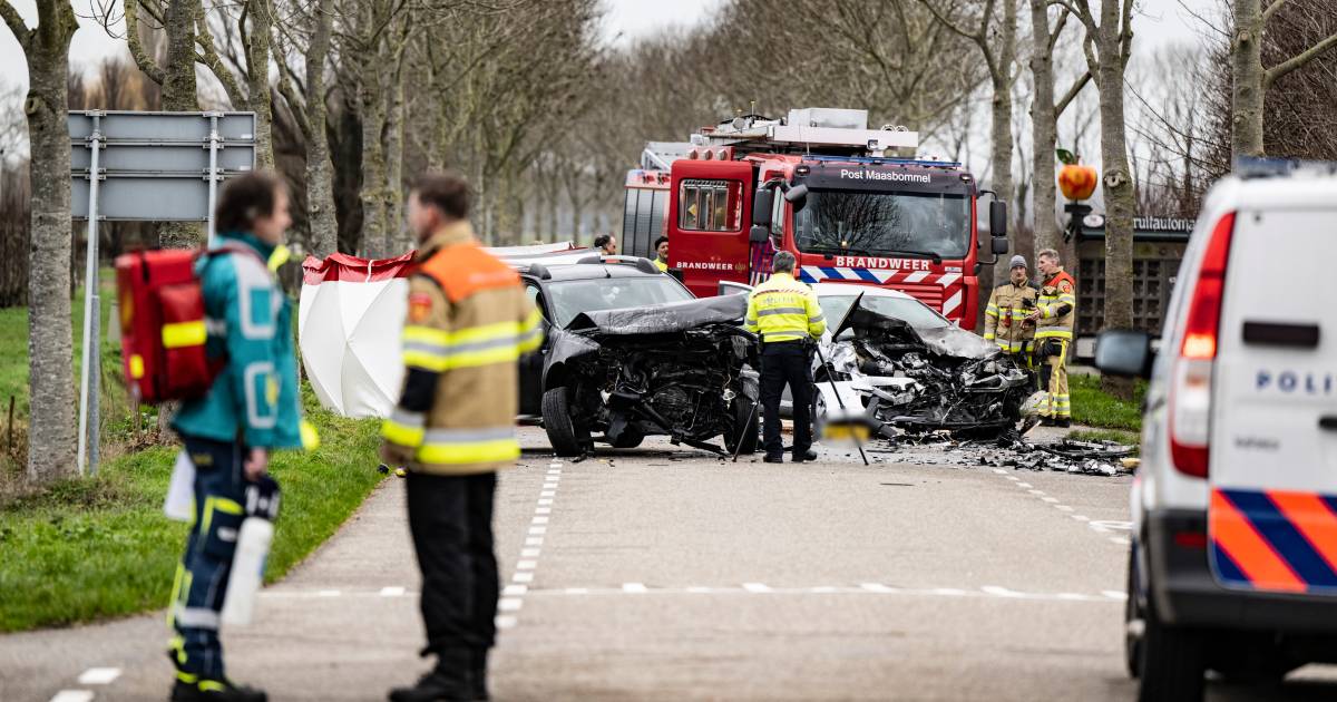 Moeder en dochter opgelucht dat stomdronken man die hen frontaal aanreed de gevangenis in gaat