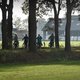 Natuur onvoldoende beschermd tegen overheid – Raad van State zet streep door stikstofbeleid