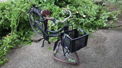 Brandweer rukt uit voor stormschade en treft jongen die boom op zijn hoofd kreeg