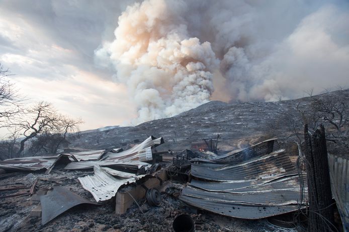 De schade van de bosbrand wordt geraamd op ruim 8 miljoen dollar, zo'n 6,7 miljoen euro.