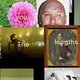 Flickr Poet