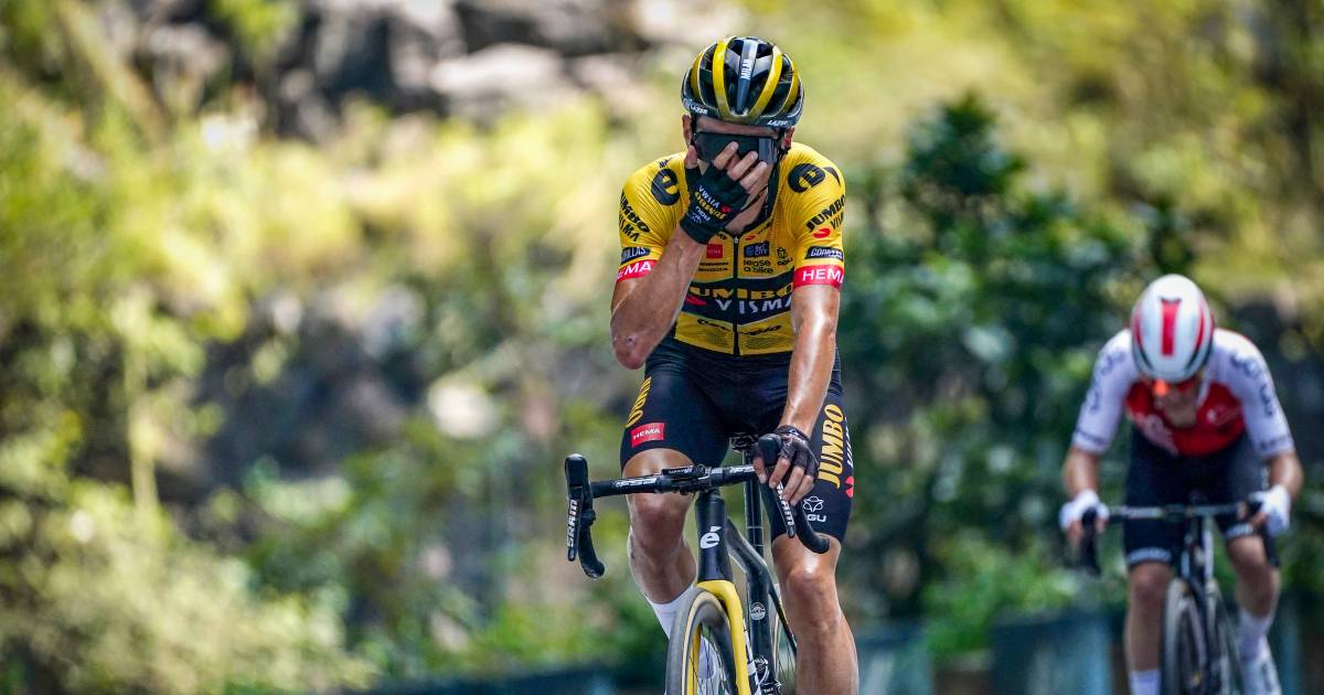 Milan Vader scores his first professional victory in the Chinese Queen stage |  Sports in Zealand
