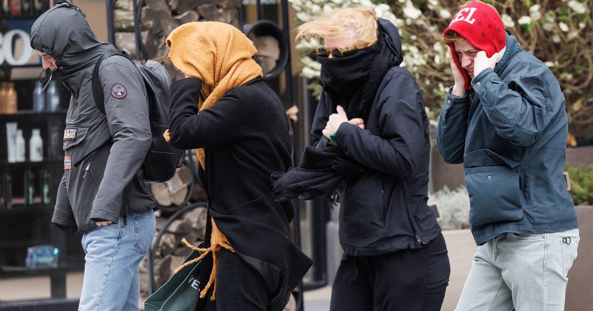 KMI annuncia il ‘Codice Giallo’ per i forti venti: ‘Anche la tempesta Debbie porterà raffiche di vento fino a 80 km/h’ |  La scienza e il pianeta