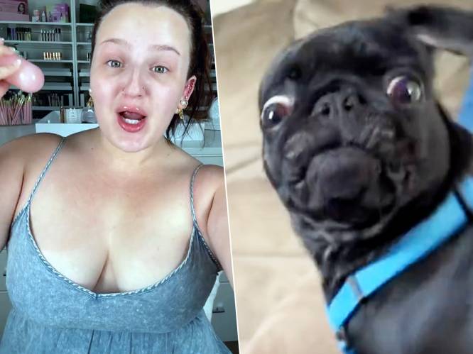 Hilarische beelden van huisdieren die schrikken van aparte stem 'beauty-influencer'