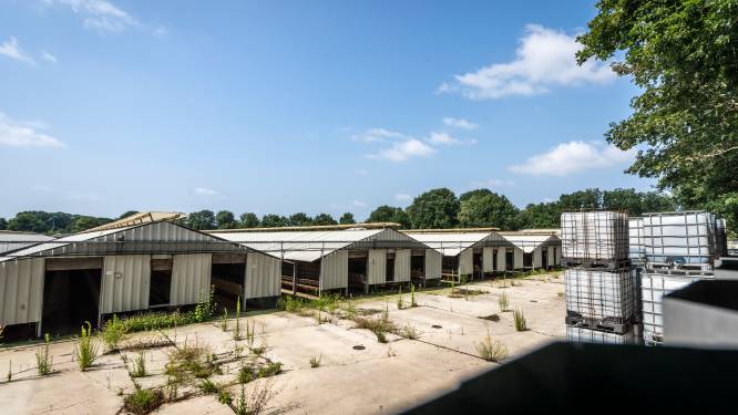 Deurne keurt ‘wijk’ voor arbeidsmigranten op oude nertsenfarm plots af;  huisvester ‘zwaar teleurgesteld’