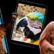 Ook het dierenrijk digitaliseert: varkens gamen, papegaaien videobellen en beren maken selfies