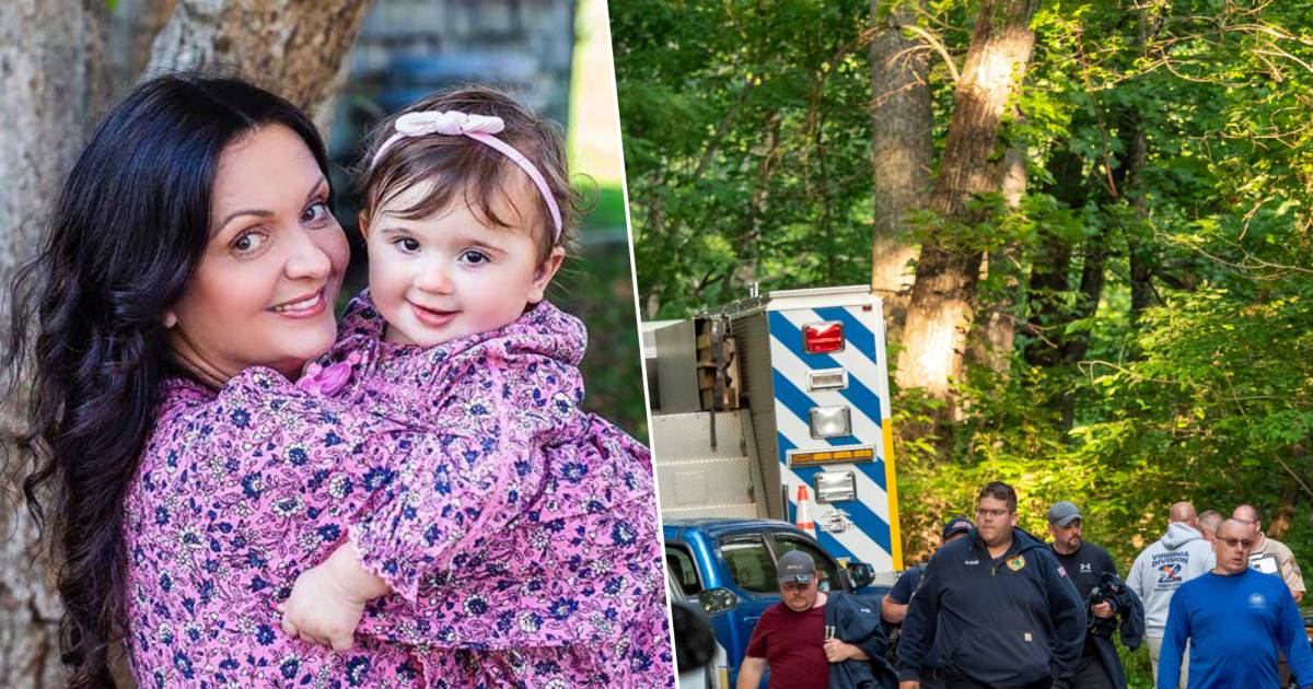 Four killed in Virginia private plane crash: Pilot seen ‘fall’ in cockpit |  outside