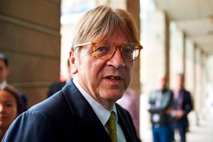 De Belgische Europarlementariër Guy Verhofstadt verdient jaarlijks tussen 920.000 en 1,4 miljoen euro aan nevenfuncties.