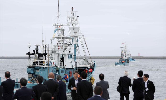 Schepen verlaten de haven van Kushiro om voor het eerst in 31 jaar aan de walvisjacht te beginnen.