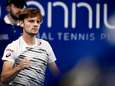 La bonne nouvelle pour Goffin venue de Vienne