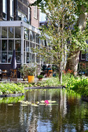 Eens een schoolplein, nu de door tuinman Anna Veenstra aangelegde 'Tuin van de Koning’ dat deel uitmaakt van  restaurant De Kok en de Tuinman.