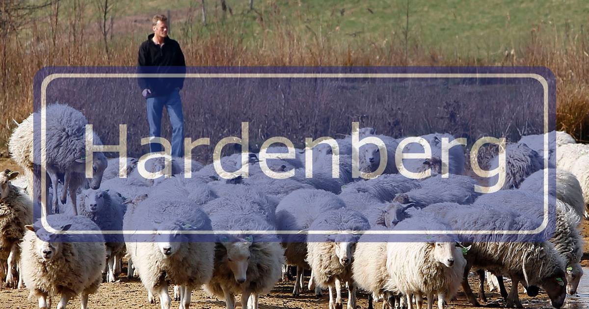 De Gasschoeve na veertig jaar nog springlevend | Hardenberg