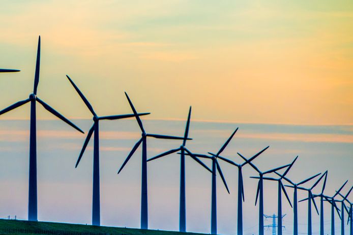 Op het platform Energy Port Zeeland kunnen bedrijven en opleidingen elkaar vinden om te communiceren over windparken voor de Zeeuwse kust.