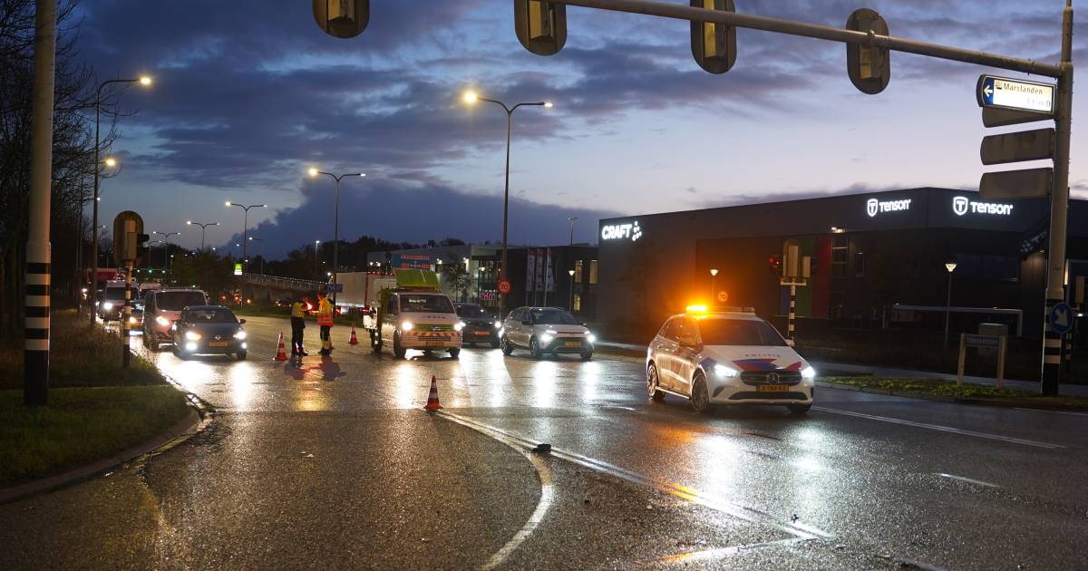 Fietser overlijdt in Zwolle na aanrijding met bestelbus.