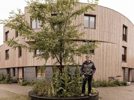Dag van de Architectuur: 'Er is vooral een hoop moois te zien'