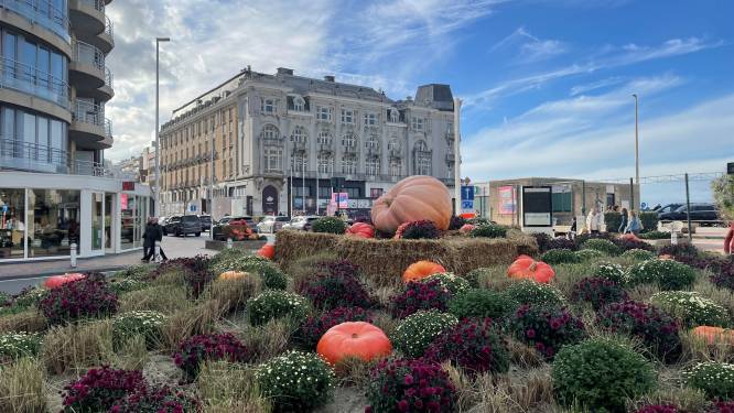 Dit is Halloween in Nieuwpoort: geanimeerde wandeltocht, griezelen in bib en akelig zwembadplezier