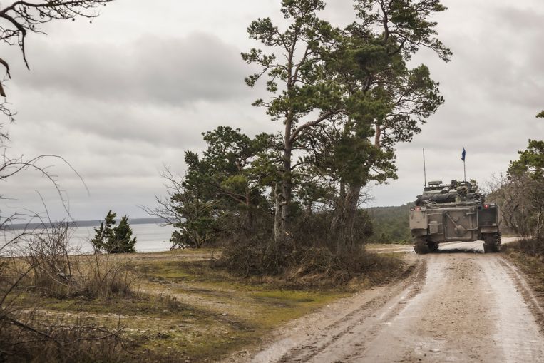 Veicolo blindato svedese sull'isola di Gotland nel Mar Baltico.  foto di Agenzia per la protezione dell'ambiente