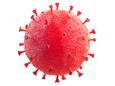 Het coronavirus.