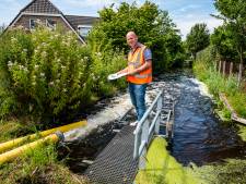 BBB ook bij waterschapsverkiezingen Rijnland de grootste, partij pakt vijf zetels 